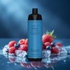 RandM Fumot Shisha 10000 Puffs Disposable Vape Berry Ice met 18ml e-liquid en 850 mAh Battery