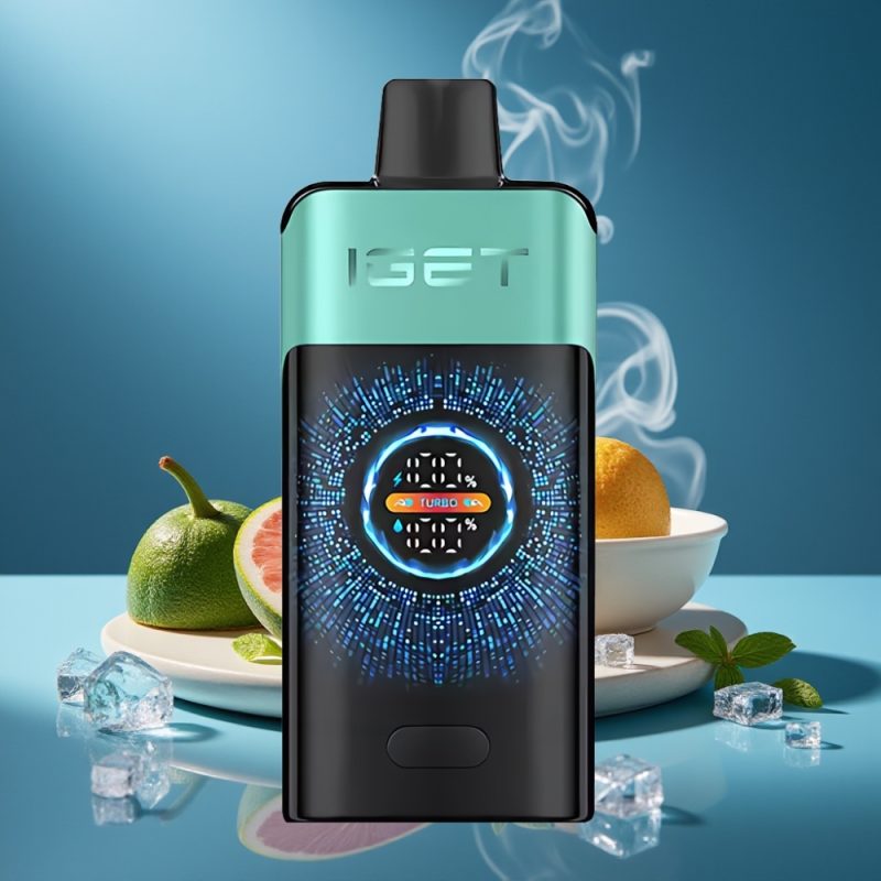 IGET ONE 12000 Puffs Disposable Vape Bergbron Muntijs met 2700 mAh Battery en Dual Mesh Coil